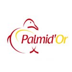 Photo du logo palmid'or